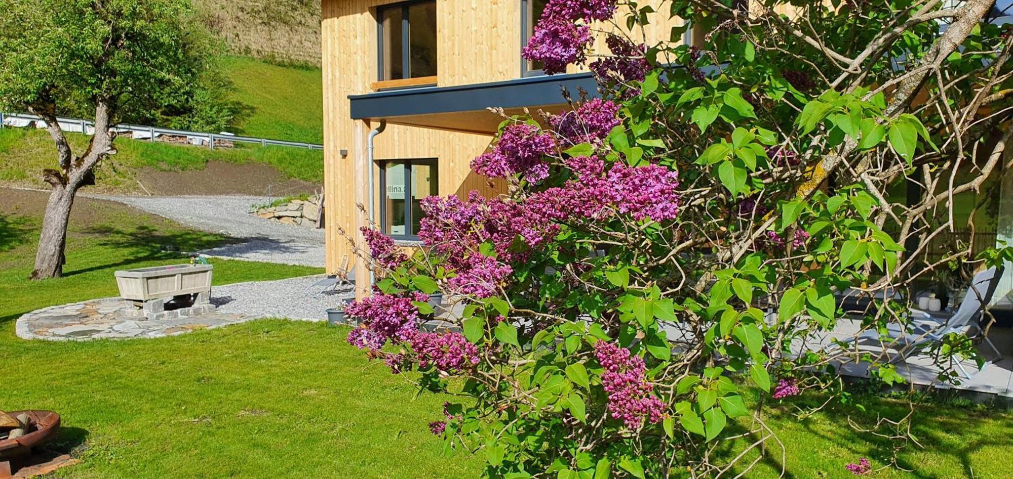 Haus Valtellina Villa Galgenul Exterior photo